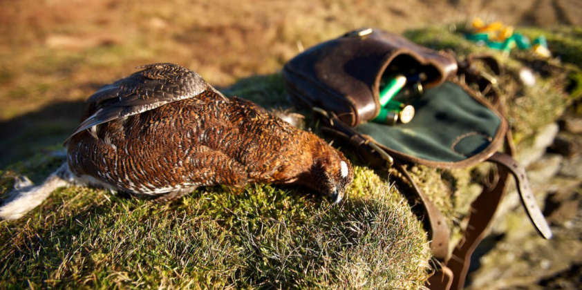Grouse Moor to Kitchen Door in a matter of hours!!
