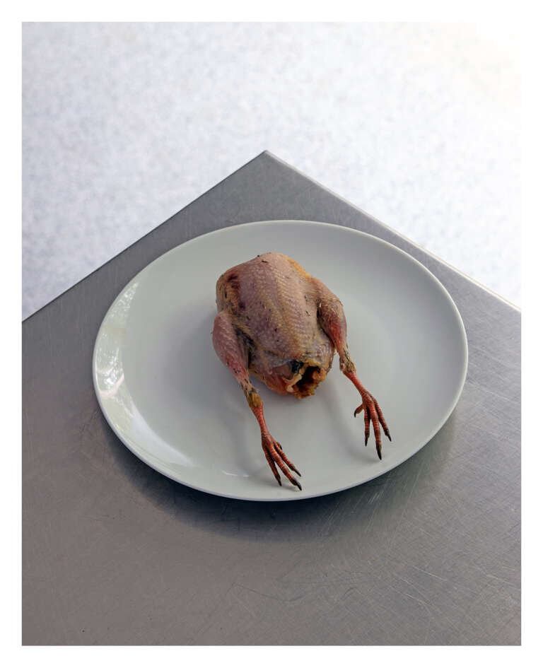 Rabbit Online Butchers Meat Delivery R&J Yorkshire's Finest