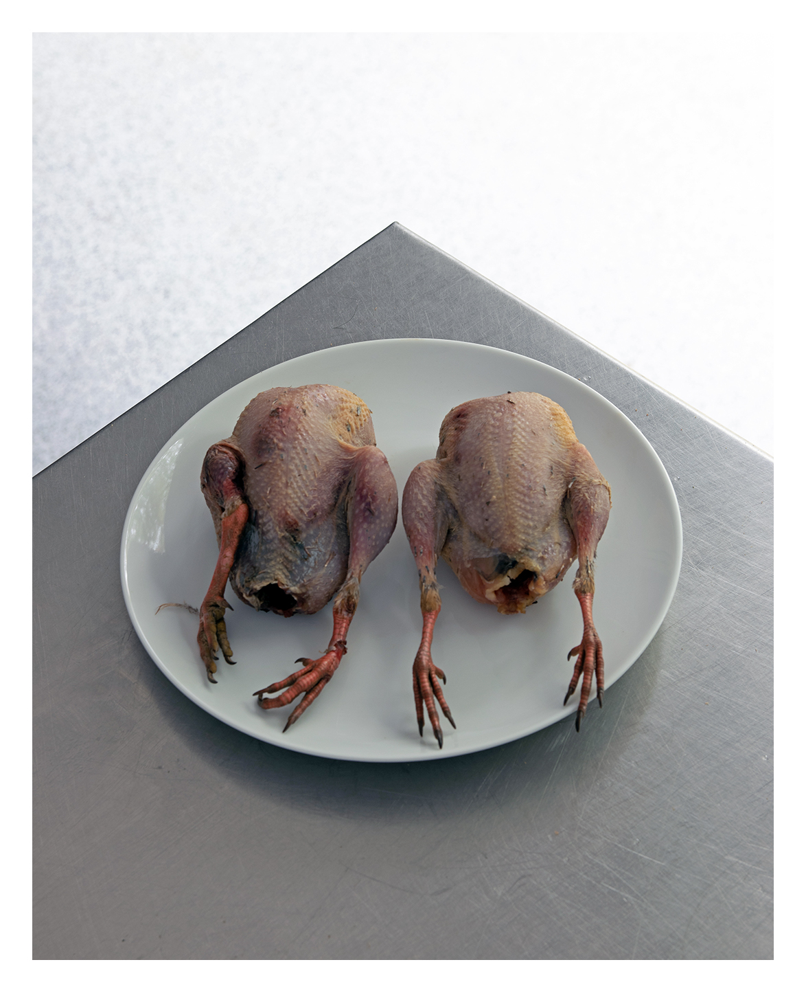 Rabbit Online Butchers Meat Delivery R&J Yorkshire's Finest